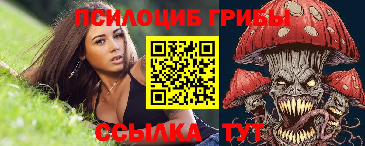 Кольчугино  Галлюциногенные грибы ЛСД  купить закладку  Вход с VPN  Галлюциногенные грибы Cubensis 